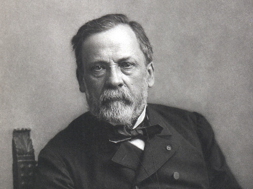 Chân dung Louis Pasteur. Ảnh: Nadar.