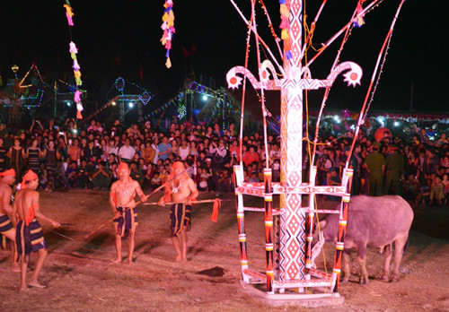 Nghi lễ đâm trâu tại lễ hội truyền thống huyện Buôn Đôn 2016 sẽ thay đổi. Ảnh: Kh.Uyên