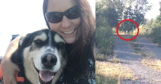 Bị báo sư tử săn đuổi, người phụ nữ thoát chết nhờ bài nhạc rock