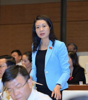 Đại biểu Mai Thị Phương Hoa, Uỷ viên Thường trực Uỷ ban Tư pháp