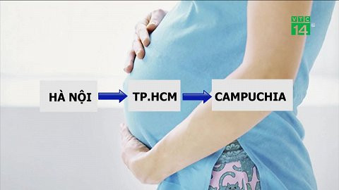 Hãi hùng dịch vụ mang thai hộ, bán thận tràn lan mạng xã hội