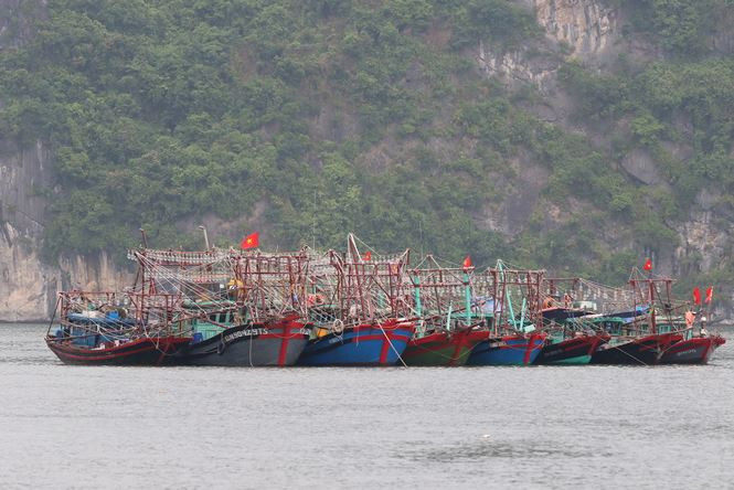 Vị trí và dự báo đường đi của cơn bão số 2 