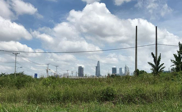 Cảnh đối lập ở khu đô thị mới Thủ Thiêm khi một bên là bãi lau sậy; bên kia bờ sông là những toà cao ốc.