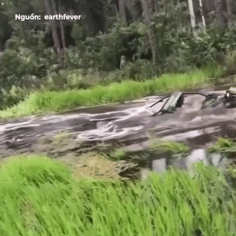 Tài xế điều khiển xe chìm trong nước lao lên bờ một cách ngoạn mục