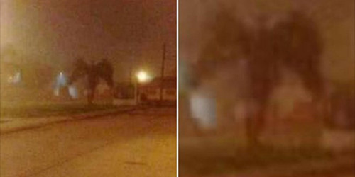 Vật thể kỳ lạ màu đen ở bên đường tại thành phố Phoenix, bang Arizona, Mỹ, hôm 1/1. Ảnh: Facebook