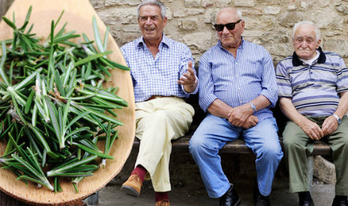 Hương thảo là một trong những bí quyết giúp người Acciaroli sống lâu. 