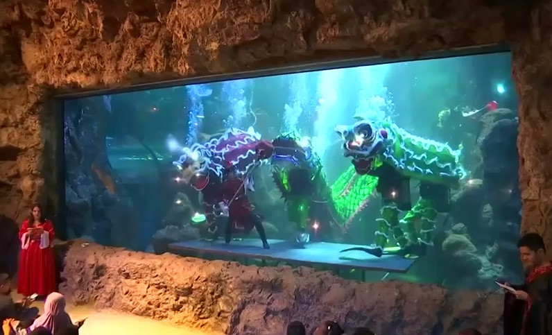 Múa lân sư rồng dưới nước mừng Tết Kỷ Hợi 2019