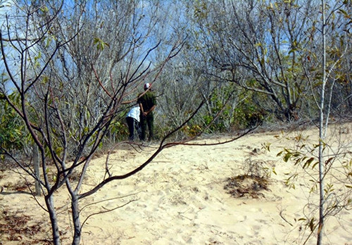 Khu vực nhóm "yêu râu xanh" gây án. Ảnh: PL TPHCM