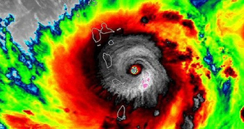 Năm 2019 có thể xuất hiện 10 - 12 cơn bão