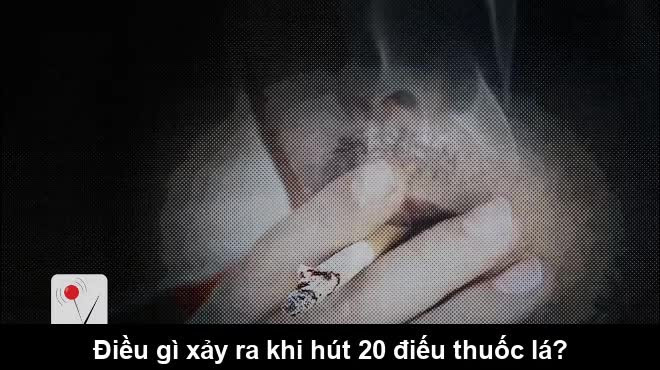 Xem phản ứng kinh dị của lá phổi khi thí nghiệm với thuốc lá