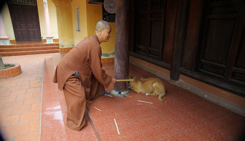 Video: Sư thầy chùa Sùng Quang lên tiếng về clip nghi đánh đập trẻ em