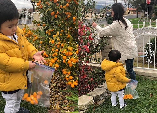 VIDEO: Con trai Đan Trường cùng mẹ tất bật chuẩn bị cho Tết cổ truyền 