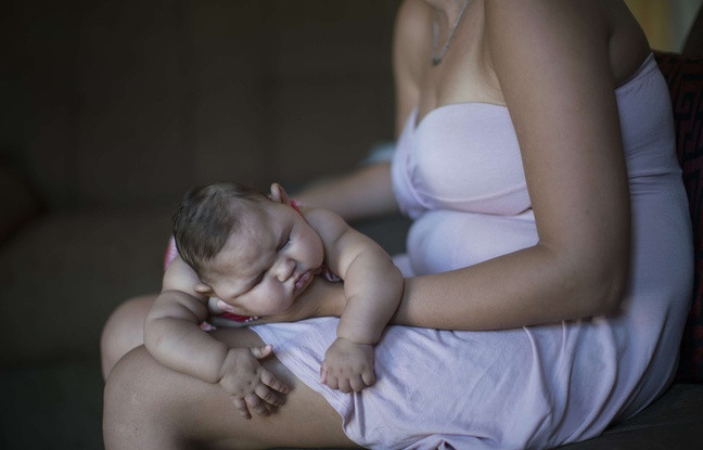 Một em bé Brazil bị bệnh đầu nhỏ nằm trong lòng mẹ. Ảnh: AP.