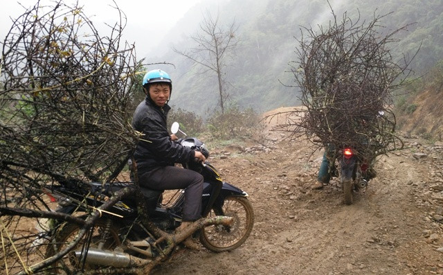 Mỗi đoàn đi săn đào thường có 2 - 4 người