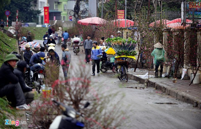 Chợ hoa đào Tết nhộn nhịp những ngày rét đậm