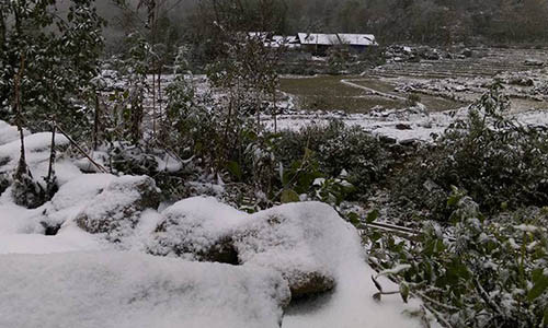 Mái nhà, mặt đất ở xã Y Tý (Bát Xát, Lào Cai), nơi có độ cao 2.000 m so với mực nước biển trắng xóa bởi tuyết. 