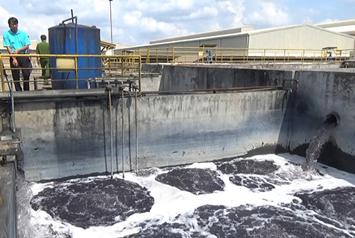 Hệ thống xử lý nước thải của Công ty Mei Sheng. Ảnh: Xuân Thắng