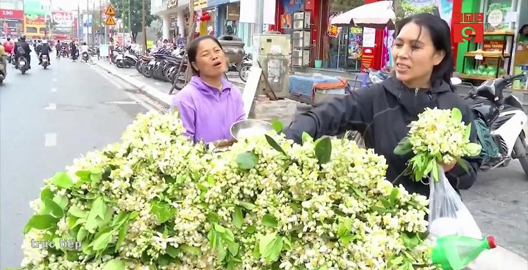 Tiết lộ thu nhập 'khủng' của gánh hàng rong bán hoa bưởi