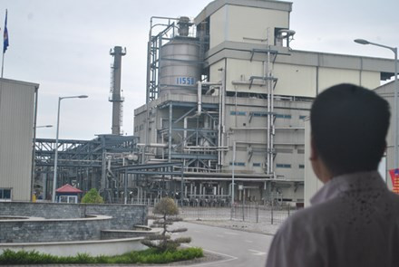 Dự án sơ sợi Đình Vũ rơi vào cảnh thua lỗ. (ảnh Phạm Tuyên)