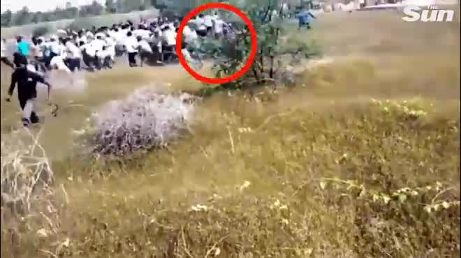 Thót tim nhìn báo hoa mai lao vào tấn công người dân