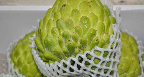 Xem quả na nặng hơn 1kg được bày bán tại Lạng Sơn