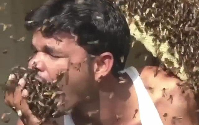 Người đàn ông thoải mái chơi đùa, thậm chí nhét hàng trăm con ong vào miệng