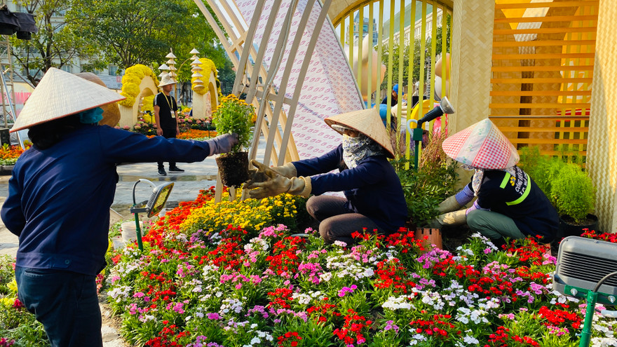 Công nhân 'chạy nước rút' trước giờ khai mạc đường hoa Nguyễn Huệ