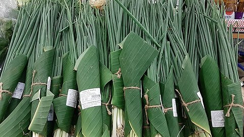 Dùng lá chuối thay túi ni-lông, người trồng chuối thành triệu phú