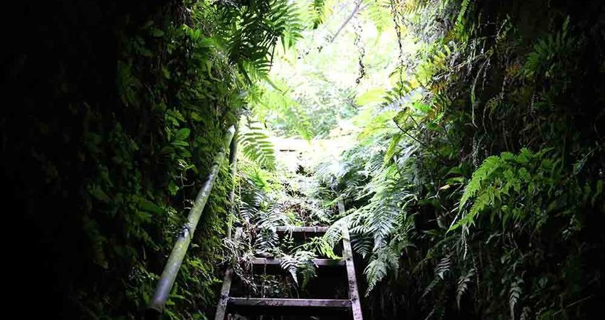 Hà Nội: Bí ẩn hang ngầm dưới đình cổ giáp hồ Tây