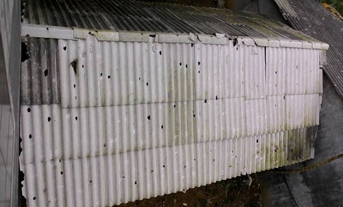 Mái lợp của nhà dân ở Chiêm Hóa (Tuyên Quang) bị thủng lỗ chỗ sau trận mưa đá. Ảnh: Phương Thảo.