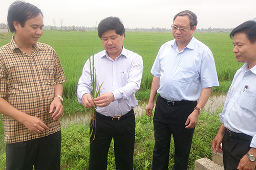 Thứ trưởng Bộ Nông nghiệp Lê Quốc Doanh (thứ 2 từ trái) làm việc tại Quảng Trị. Ảnh: Hoàng Táo