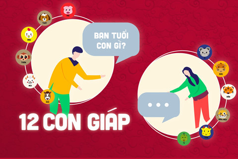 Vì sao quan niệm 'Heo vàng' và 12 con giáp ở nhiều nước lại khác nhau?