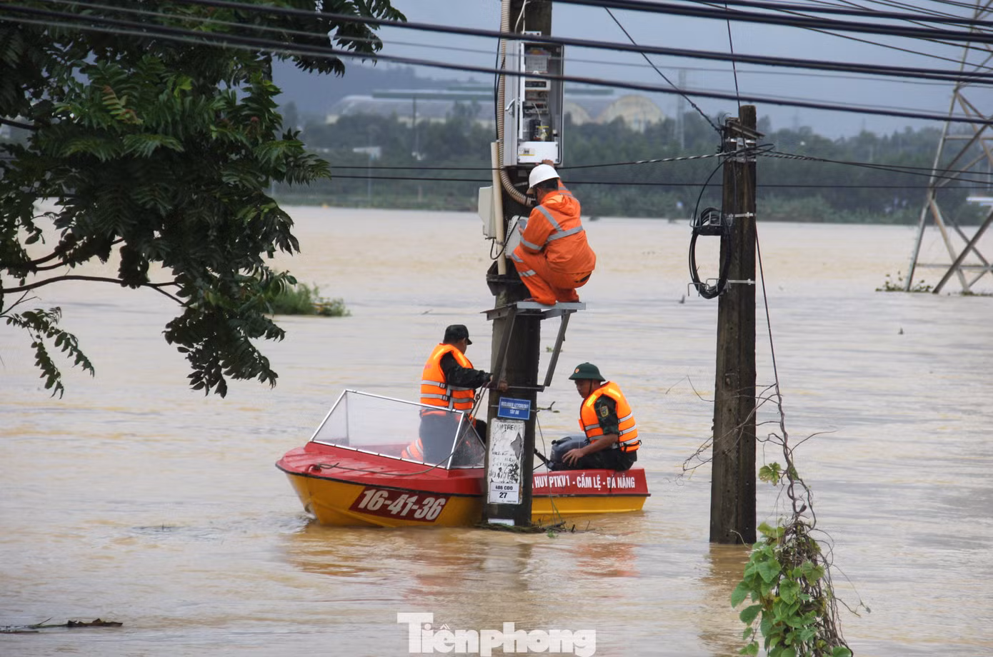 tp-lu.jpg