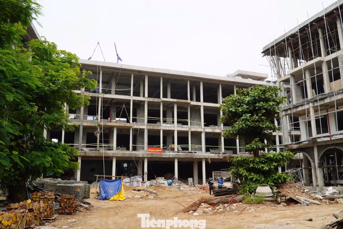 tp_truong-phu-dong-3.jpg