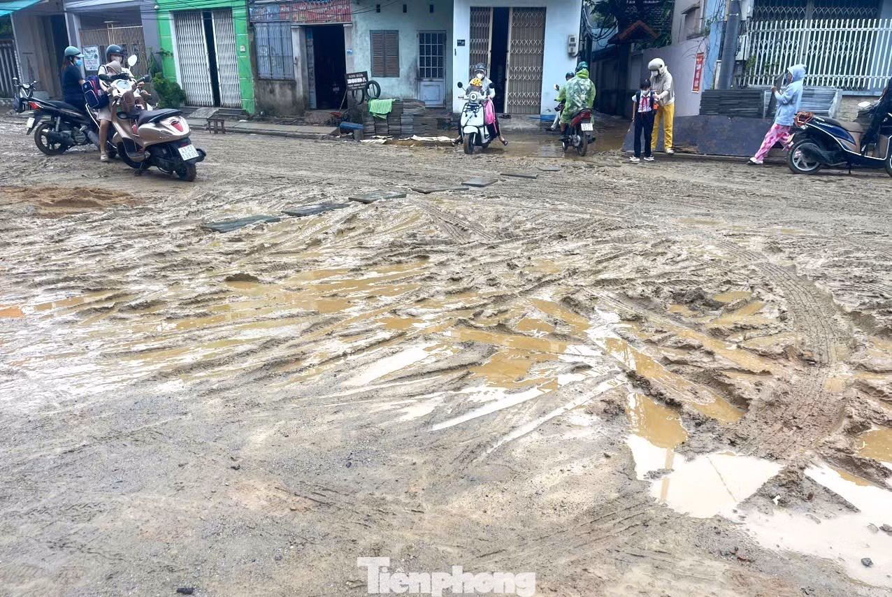 tp_da-nang-duong-lay-19.jpg