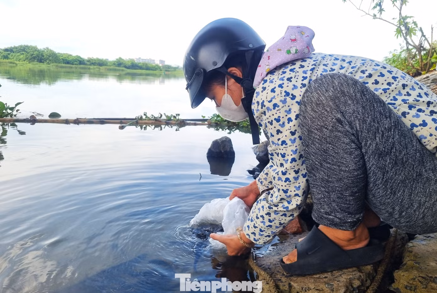 tp-dn-ca-phong-sinh-7.jpg