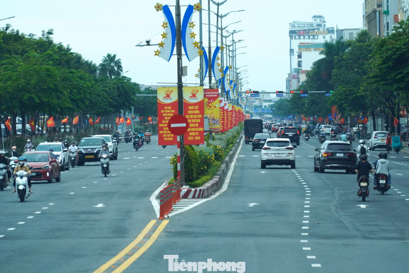 tp-dh-dang-dn-18.jpg