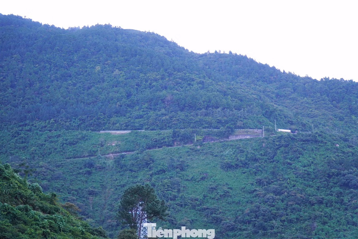 tp_deo-hv-3.jpg