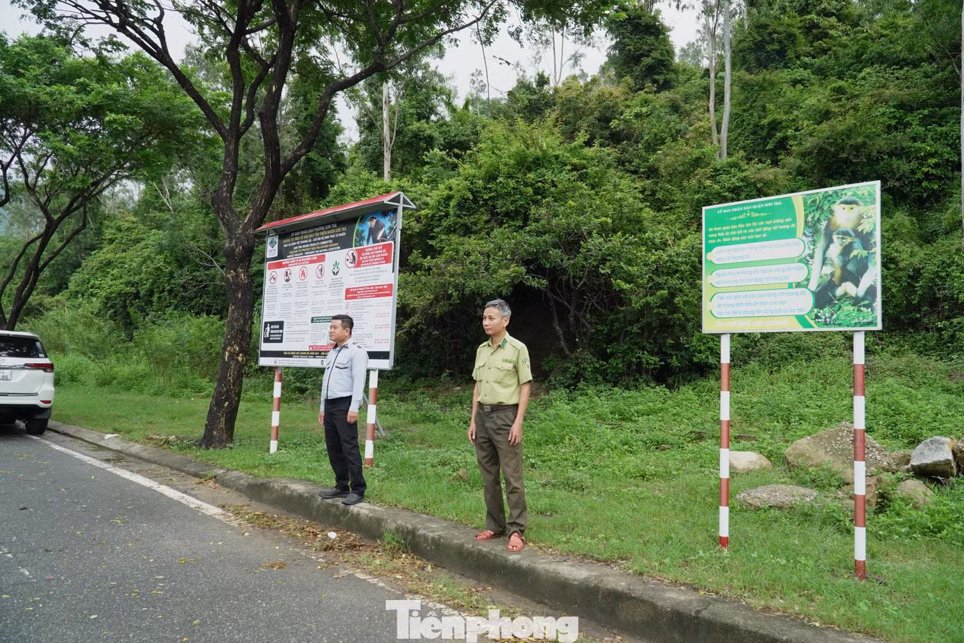 tp_da-nang-son-traa1.jpg