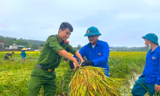 Công an, thanh niên Hà Tĩnh giúp người dân gặt lúa sau giông lốc, mưa đá