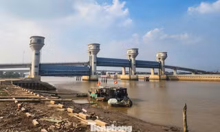 Thanh Hóa thúc đẩy đưa công trình cầu cống thủy lợi 'khủng' vào vận hành trước Tết