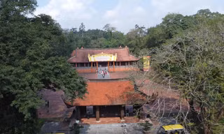 Nữ hướng dẫn viên tường trình lỗi thuyết minh sai về nhà Tây Sơn