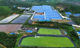 Trại lợn 30.000 con ở Thanh Hoá gây ô nhiễm nặng