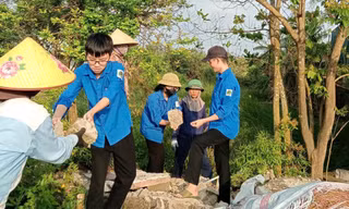 Tuổi trẻ Hà Tĩnh thực hiện nhiều hoạt động ý nghĩa Ngày Chủ nhật xanh