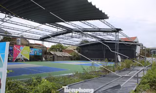 Nhiều sân Pickleball hư hỏng, đổ sập sau bão Kajiki