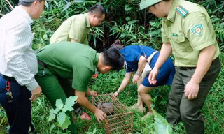 Bắt được động vật quý hiếm, người dân giao nộp để tái thả về tự nhiên