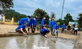 Dấu ấn thanh niên Nghệ An trong phát triển kinh tế, xã hội của tỉnh