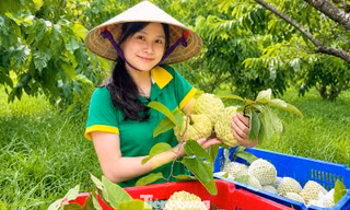 Thanh niên Nghệ An làm chủ công nghệ, kiến tạo tương lai