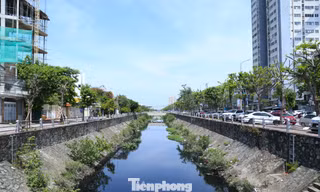 Đề xuất đưa tuyến kênh quanh năm một màu đen 'xuống lòng đất'