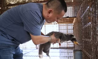 Từng mất trắng vì con 'ăn đêm, đẻ khỏe', nay thu tiền tỷ mỗi năm